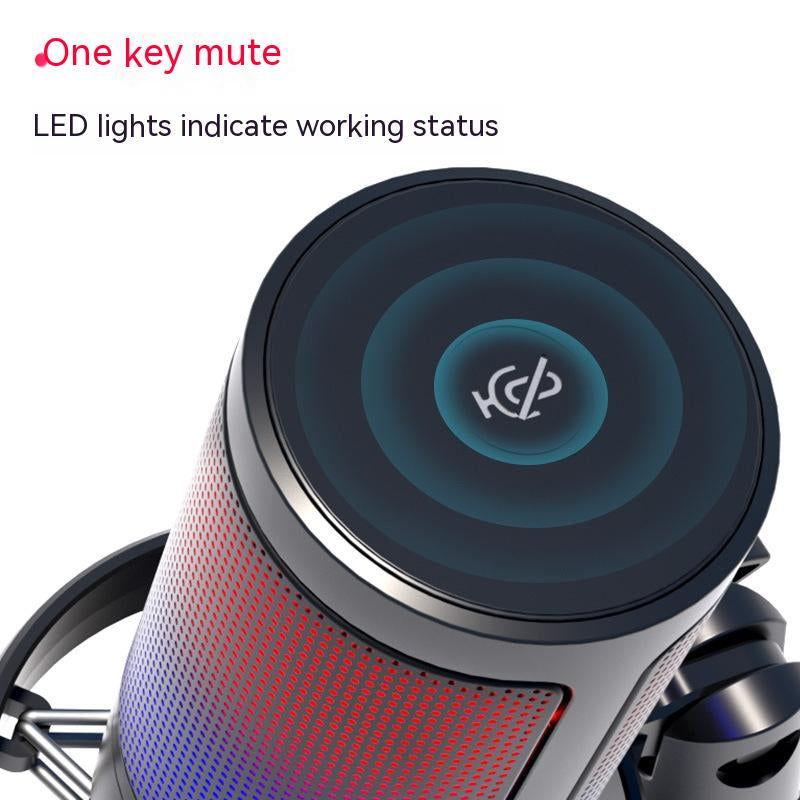 Professional RGB Condenser Microphone for Live Broadcasting